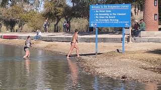 50th Annual Polar Bear Plunge in Lake Havasu City Arizona  USA [upl. by Judd]