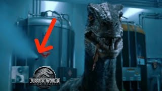 How Blue Saved Dr Henry Wu During Jurassic World Fallen Kingdom  Off The Hook Again [upl. by Beker]