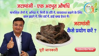 जटामांसी  एक अद्भुत आयुर्वेदिक जड़ी बूटी  Nardostachys jatamansi  Dr Prateek Agarawal 40 [upl. by Yrrep260]