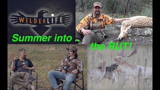 Summer into the Rut  Fallow Deer Behaviour and Hunting tactics [upl. by Atipul]