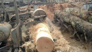 Debarker vs Hickory log sawmilllogging video [upl. by Val10]