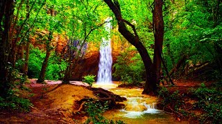 Relaxing Zen Music and Nature Sounds  Wooden Flute and Pan Flute  Meditation Sleep Sound [upl. by Mullac]