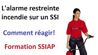 DJEVU comment réagir face à une alarme restreinte incendie sur un SSI  Formation SSIAP [upl. by Geof135]