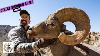 Epic Desert Bighorn Sheep Hunt [upl. by Puiia820]