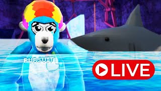 Gorilla Tag Stream LIVE 🔴 MINIGAMES amp CODES [upl. by Zeke542]