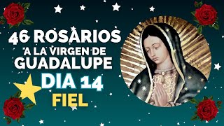 Día 14⭐Fiel 46 Rosarios 🌹 a la Virgen de Guadalupe Misterios Gloriosos [upl. by Tranquada]