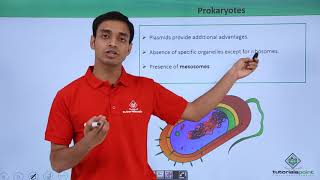 Class 11th  Prokaryotes – Introduction  Cell The unit of Life  Tutorials Point [upl. by Toddie126]