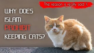 Why Does Islam Prohibit Keeping Cats  CATS IN ISLAM [upl. by Arama348]