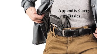 Appendix Carry Basics [upl. by Ericha]