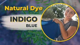 Dyeing with Indigo Traditional Dyeing Process with Natural Plant Dye [upl. by Krutz]