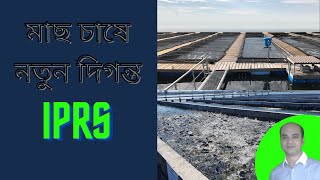 IPRS  iprs Fish Farming Technology Bangladesh [upl. by Eatnad]