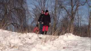 Sleepy Hollow Winterfest Sleigh Riding at Rockwood Hall February 10 2013 [upl. by Cindra173]