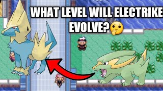 How to Evolve Electrike to Manectric on Pokemon RubySapphire and Emerald [upl. by Ilat]