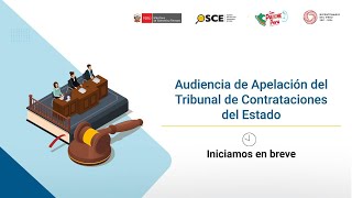 Audiencia de Apelación del Tribunal de Contrataciones del Estado S2EXP89912024TCE [upl. by Aihsena448]