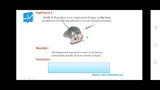 SVT  régulation de cycle séxuelle EP2  role de lhypophyse Bac math et sc [upl. by Eybba523]