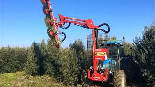 🌳Hedging topping pruner  Prepodadora de arboles  Poda olivar en seto  iD David [upl. by Cai968]