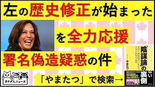 724 選挙戦撤退署名偽造疑惑の件歴史修正が始まった副大統領候補は誰 [upl. by Aicirpac879]