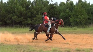 Racing Under Saddle at Orchard Park Standardbred Race Track in Texas [upl. by Applegate]