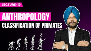 Anthropology optional UPSC mains Lecture 19  Classification of Primates [upl. by Nylhsa]