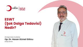 ESWT Şok Dalga Tedavisi Nedir  Op Dr Hasan Gürsel Göksu [upl. by Odnumyer]