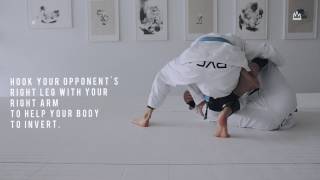 BJJ TECHNIQUE REVERSE DE LA RIVA  TIMBER SWEEP  BERIMBOLO BACK TAKE [upl. by Yasnil]