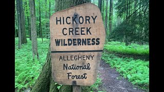 Hickory Creek Wilderness [upl. by Dolphin]