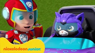 PAW Patrol  La Pat Patrouille  Les Super Chats et la Mini Patrouille   Nickelodeon Jr France [upl. by Banwell]