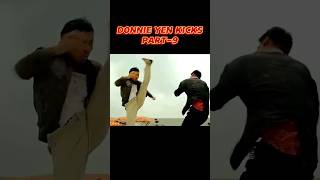 Donnie yen best kicks trendingshorts viralshort viralvideo mostviewedonyoutube views trending [upl. by Etsyrk740]