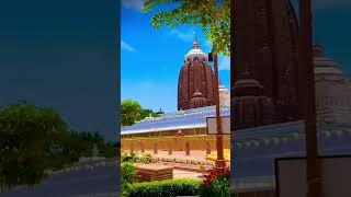 Sri khetra dhama 🙏🙏🙏🙏🙏puri khusi vlogs 😊 Jay Jagannath 🙏 [upl. by Duaner563]