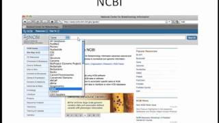 How to Align Sequences Webinar 17 Intro and NCBI Overview [upl. by Refinaj]