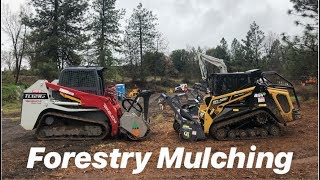 Top skid steer TAKEUCHI TL12 vs ASV RT120 FORESTRY PACKAGE [upl. by Wrennie]