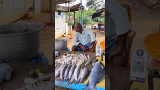 ✅💫Hogenakkal falls Fisher mans fish Hunting and nature View shorts nature hogenakkalfalls [upl. by Lonier143]