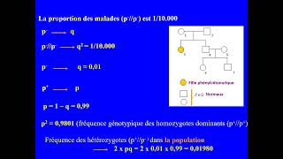 Exercice de génétique humaine et des populations Hérédité autosomique récessive Bacconcours [upl. by Timmie]