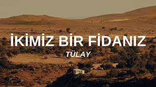 Tülay  İkimiz Bir Fidanız SözleriLyrics 1975 Plak Kaydı [upl. by Swihart63]