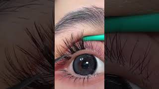 Manga eyelash extensions eyelashextensions foryou lashes [upl. by Eisset]