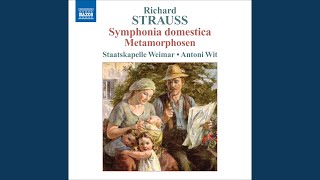 Symphonia domestica Op 53 TrV 209 Wiegenlied [upl. by Fulton]