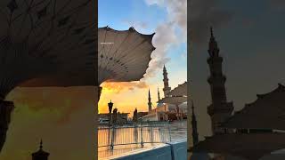 Allahu Allah Allahu Allah 💯🤲🕋 allahuakbar makkahmadinah islamicgreeting fyp shortvideo allah [upl. by Jevon]