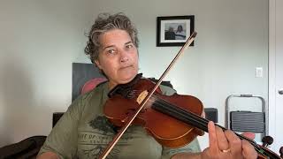 Day 273  Mount Whatley Reel  Patti Kusturok’s 366 Days of Fiddle Tunes [upl. by Lori]