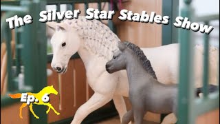 The Silver Star Stables Show  Episode 6 Schleich Horse RolePlay Series [upl. by Nyrrad]