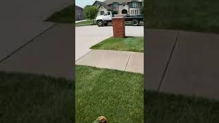 The benefits of dual Fertilizer tanks on LAWN Spray Truck lawncare lawnlife [upl. by Froemming87]