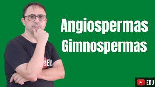 ANGIOSPERMAS E GIMNOSPERMAS [upl. by Derreg231]