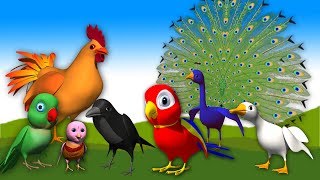 Telugu Rhymes for Children  Little Birds Burru Pitta Chitti Chilakamma  Kids and Baby Songs [upl. by Atteinotna969]