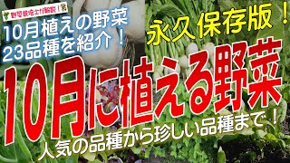 10月に植える野菜（23品種）永久保存版 [upl. by Ok]