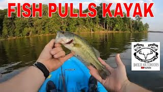 Fish Pulls Kayak Fisherman Around [upl. by Shank]