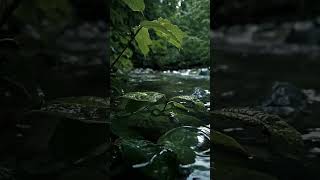 Deeply Peaceful Prayer Instrumental Worship Music relaxingworshipsong relaxingmindmusic shorts [upl. by Percy96]