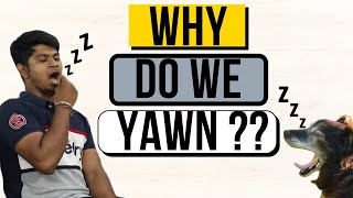 Why Do We Yawn Why is Yawning Contagious [upl. by Deeanne]