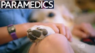 Paramedics Australia  S03E04 [upl. by Shepley]