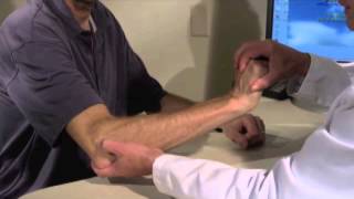 Tennis Elbow Lateral Epicondylitis [upl. by Donela]