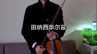 《田纳西华尔兹》 （the tennessee waltz）violin cover [upl. by Oluas]