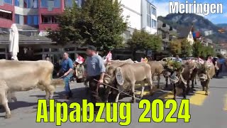 Alpabzug 2024 [upl. by Bernardi]